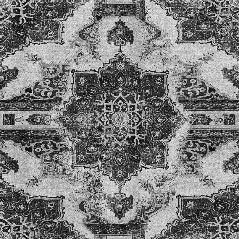 Rapport persa desgastado en blanco y negro